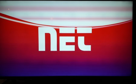 Koliko se u Hrvatskoj konzumira piratski sadržaj na internetu