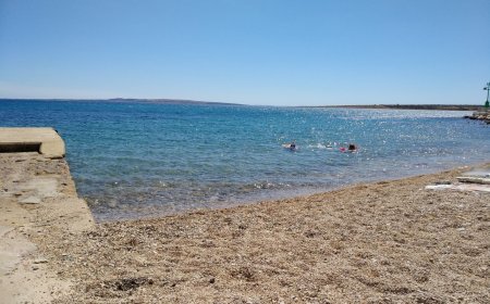 Na Paškoj plaži pronađen mrtav dupin