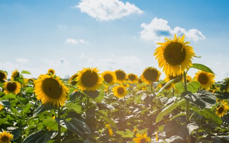 Prognoza vremena za 28. 07. 2023.