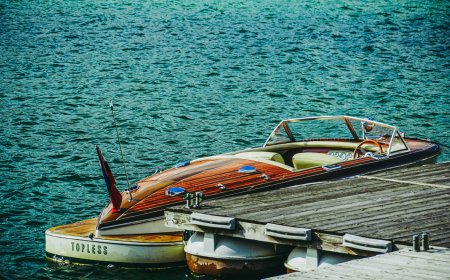 Kritike novog zakona o koncesijama