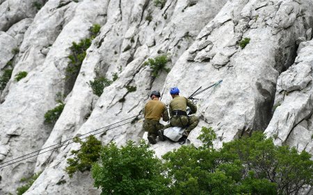 Zajedničko uvježbavanje specijalnih snaga