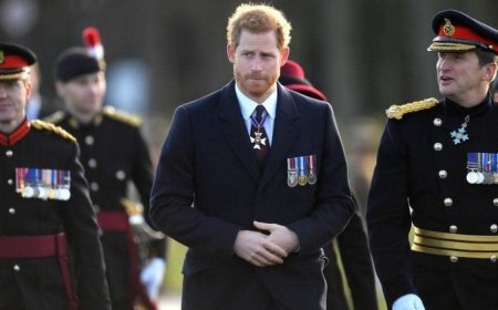 Princ Harry: dugo,  toplo ljeto puno problema