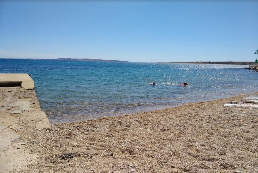 Na Paškoj plaži pronađen mrtav dupin