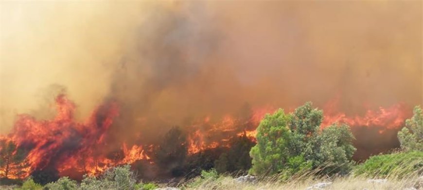 Lokaliziran požar na području Blizne Gornje