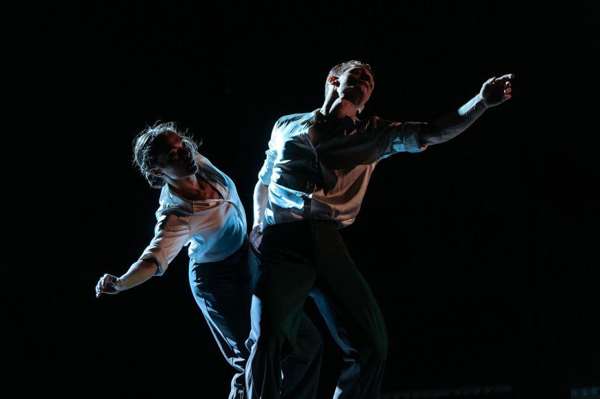 Šibenik Dance Festival: Mađarska scena suvremenog plesa