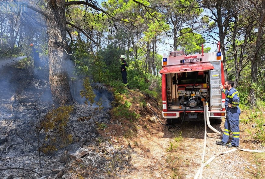 Ugašen požar iznad Malog Lukorana