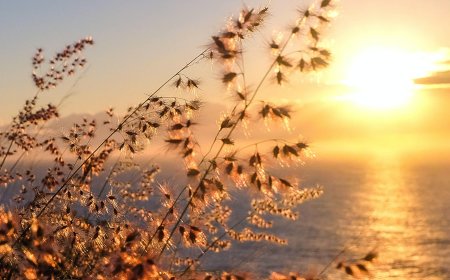 Prognoza vremena za 02. 08. 2023.