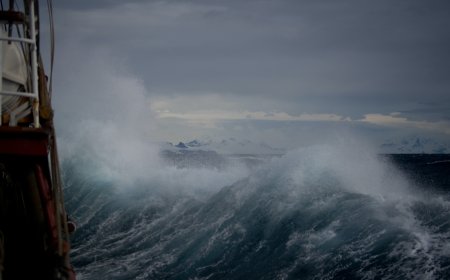 Vremenska prognoza za 04. 08. 2023.