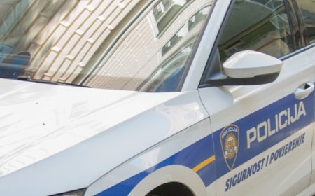 Kriminalistička istraživanja: Razbojništvo, Droga i Krađa