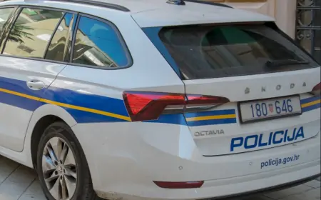 Prijetnje, mučenje životinja i više slučajeva krađe