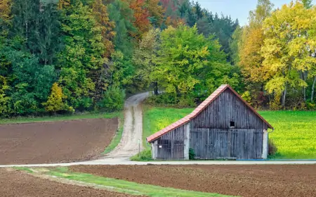 Financiranje projekata lokalne infrastrukture i ruralnog razvoja
