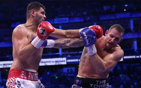 Hrgović nokautirao McKeana