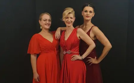 Večeras koncert ozbiljne glazbe u atriju palače Cedulin