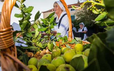 'Litnja pričinjoža' večeras u Pakoštanima