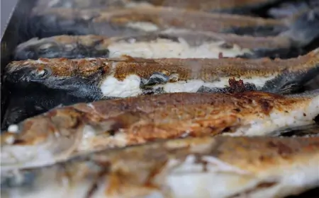 Meloni se iskupila za 'idiote' koji nisu platili račun