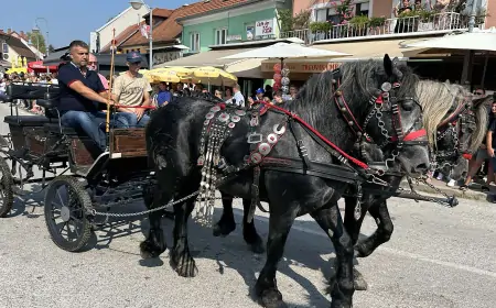 21. Vozočašće konjskih zaprega do Marije Bistrice