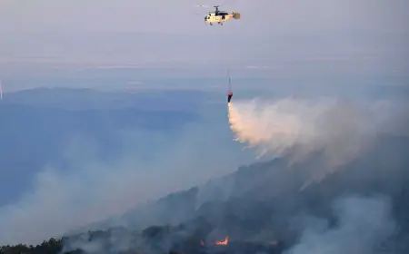 Grčka suočena s dosad najvećim požarom u EU-u