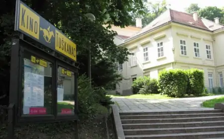 Kultni američki horor filmovi u kinu Tuškanac