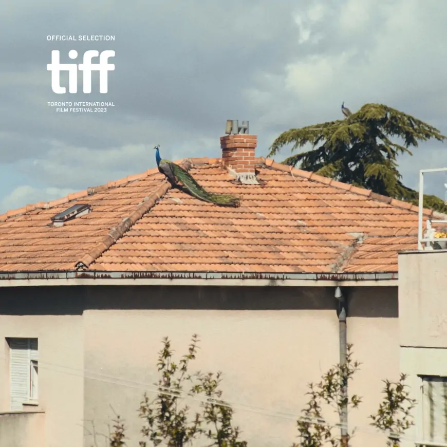 1001 noć: premijera hrvatskog filma na festivalu u Torontu