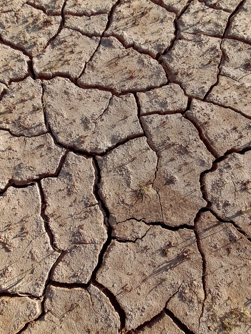 Moguće da 2023. bude najtoplija ikad zabilježena godina - NOAA