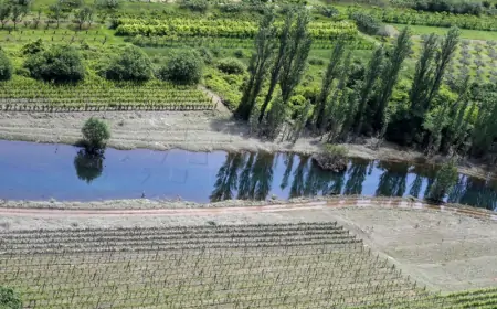 Predstavljeni rezultati istraživanja u sklopu projekta PERSPIRE