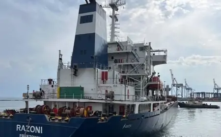 Putin optužuje Ukrajinu da napada plinovode u Crnom moru