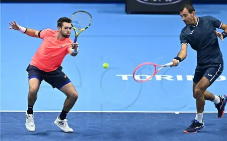 US Open: Dodig i Krajicek u polufinalu