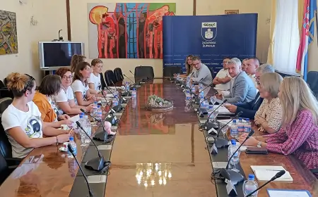 Sastanak pedijatrima. Roditelji u kupe, Županija u špade!