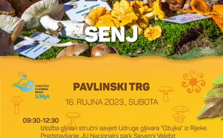 Senj: Fešta od gljiva