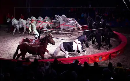 Njemački cirkus zamijenio žive životinje hologramima