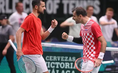 Davis Cup: Poraz od Amerikanaca nije udaljio Hrvatsku od Malage