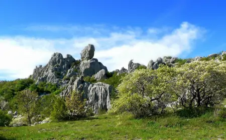 Drugi Markacistički kamp u organizaciji PD Paklenica Zadar