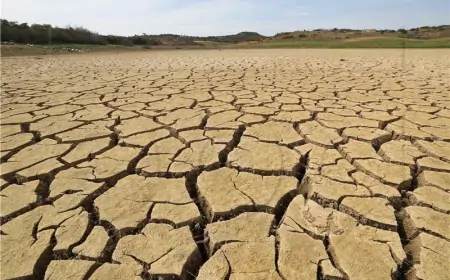 Svijetu će godišnje trebati 2,7B $ za nultu stopu emisije CO2 do 2050.