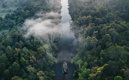 Četrnaest mrtvih u padu aviona u Amazoniji