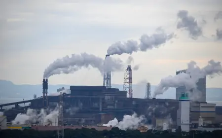 Zbog klimatskih promjena porast respiratornih bolesti i alergija