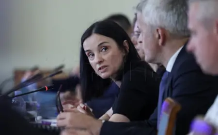 Vlada će nadoknaditi štete i pomoći u oporavku uzgoja svinja