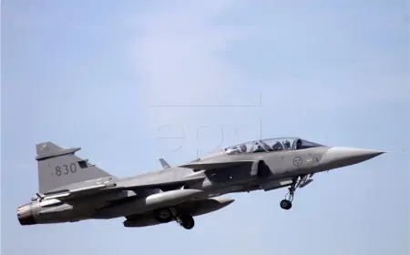 Zelenskij zatražio od Švedske Gripene
