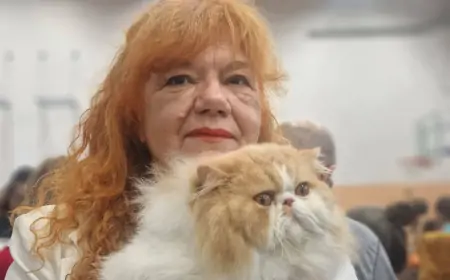 Mačak Ante iz Splita  pobjednik svjetske izložbe mačaka