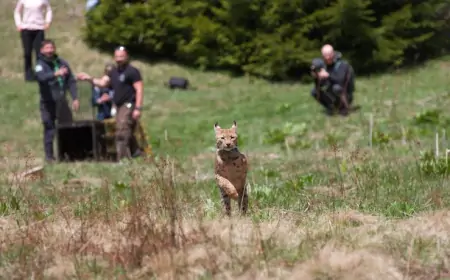 170 europskih stručnjaka okupilo se u Zadru