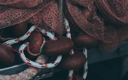 26. Susret ribara HOK-a za mjesec dana u Šibeniku