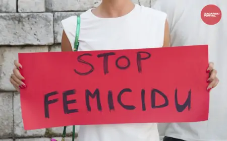 BiH: Obiteljsko nasilje sve češće a sigurne kuće bez stabilne potpore