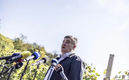 Milanović: Problem ilegalnih migracija može se riješiti integriranjem BiH u EU