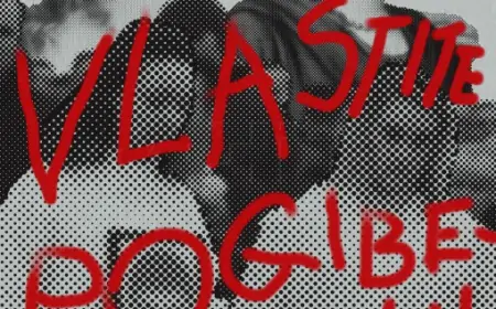 Slučaj vlastite pogibelji: novi roman hit pisca Kristiana Novaka