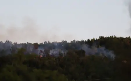 Požar kod Ploča: Gori gusta borova šuma, u gašenju sudjeluju i dva kanadera