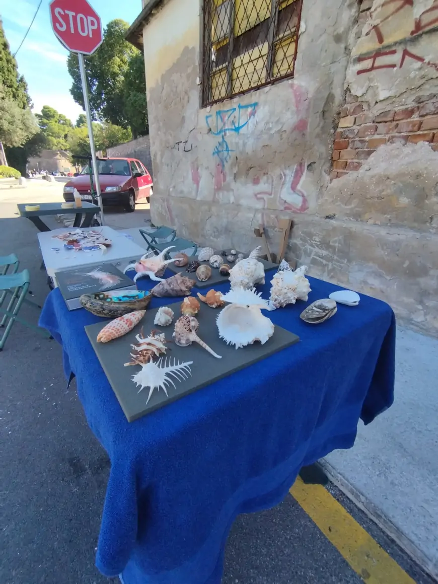 Split, Volosko, Zadar, Murter i Vrnik  za čisti Jadran!