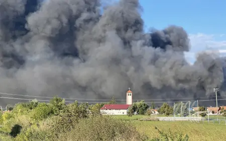 U blizini požarišta temeljito prati i guliti voće