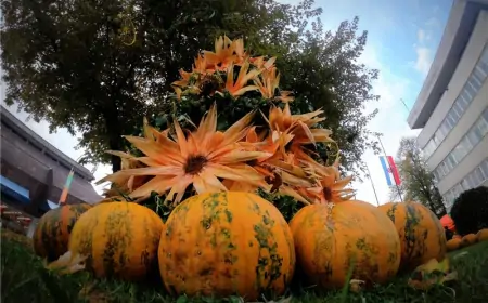 Bučijada u Ivanić-Gradu u ponudi ima bučokremšnite i čokoladne praline
