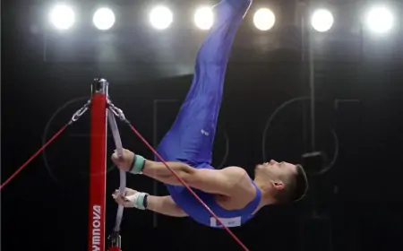 SP gimnastika: Srbić srebrni na preči