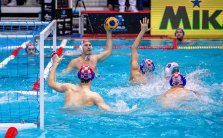 Pregled petog kola Premier lige