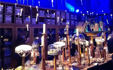 Objavljen drugi dio službene Harry Potter kuharice